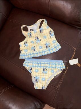 Bluey Two-Piece Swim Set